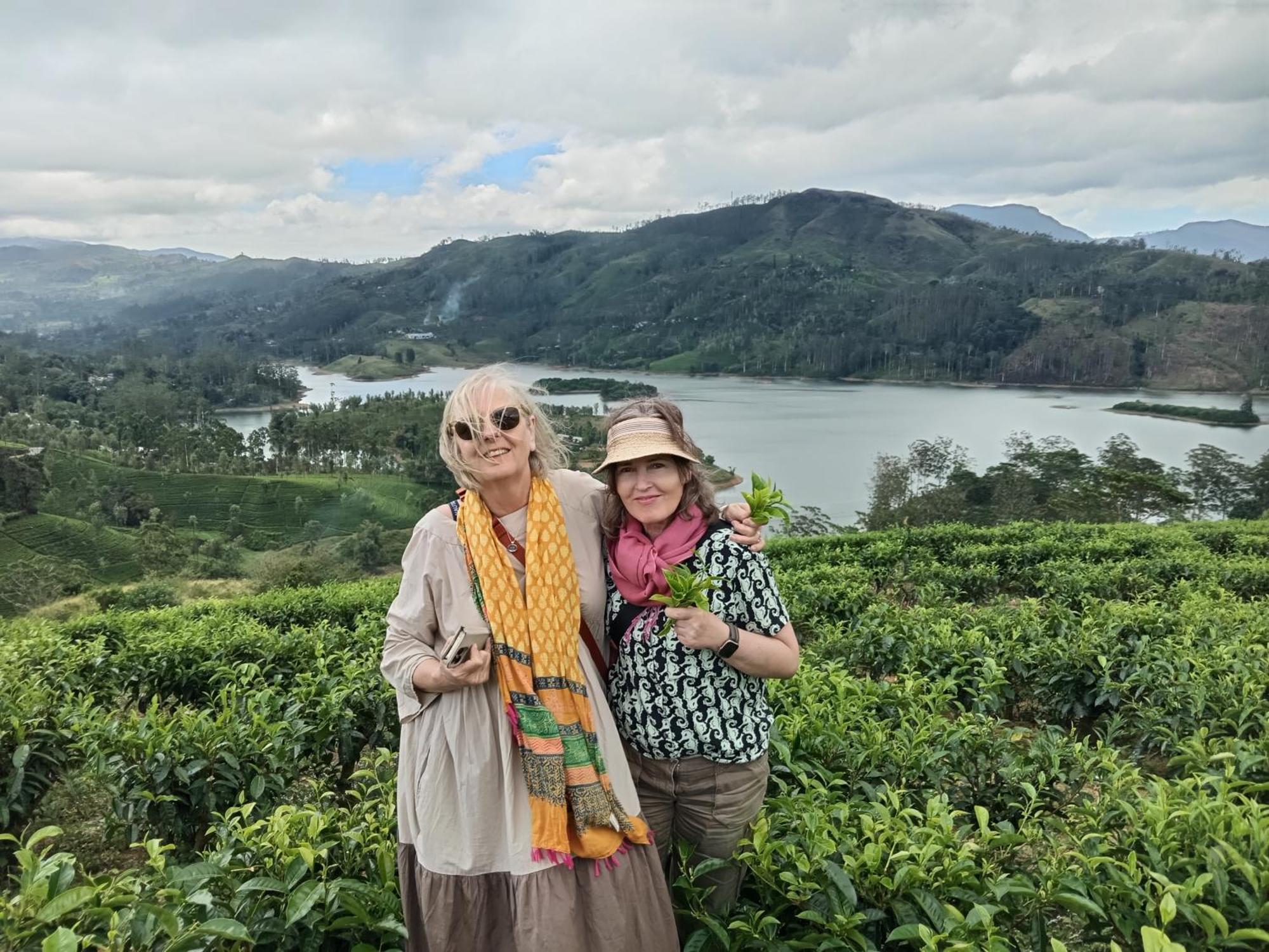 Princess Of Dickoya Homestay ハットン エクステリア 写真
