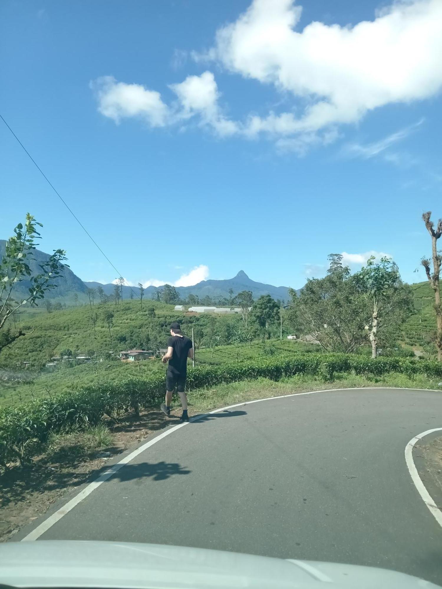 Princess Of Dickoya Homestay ハットン エクステリア 写真